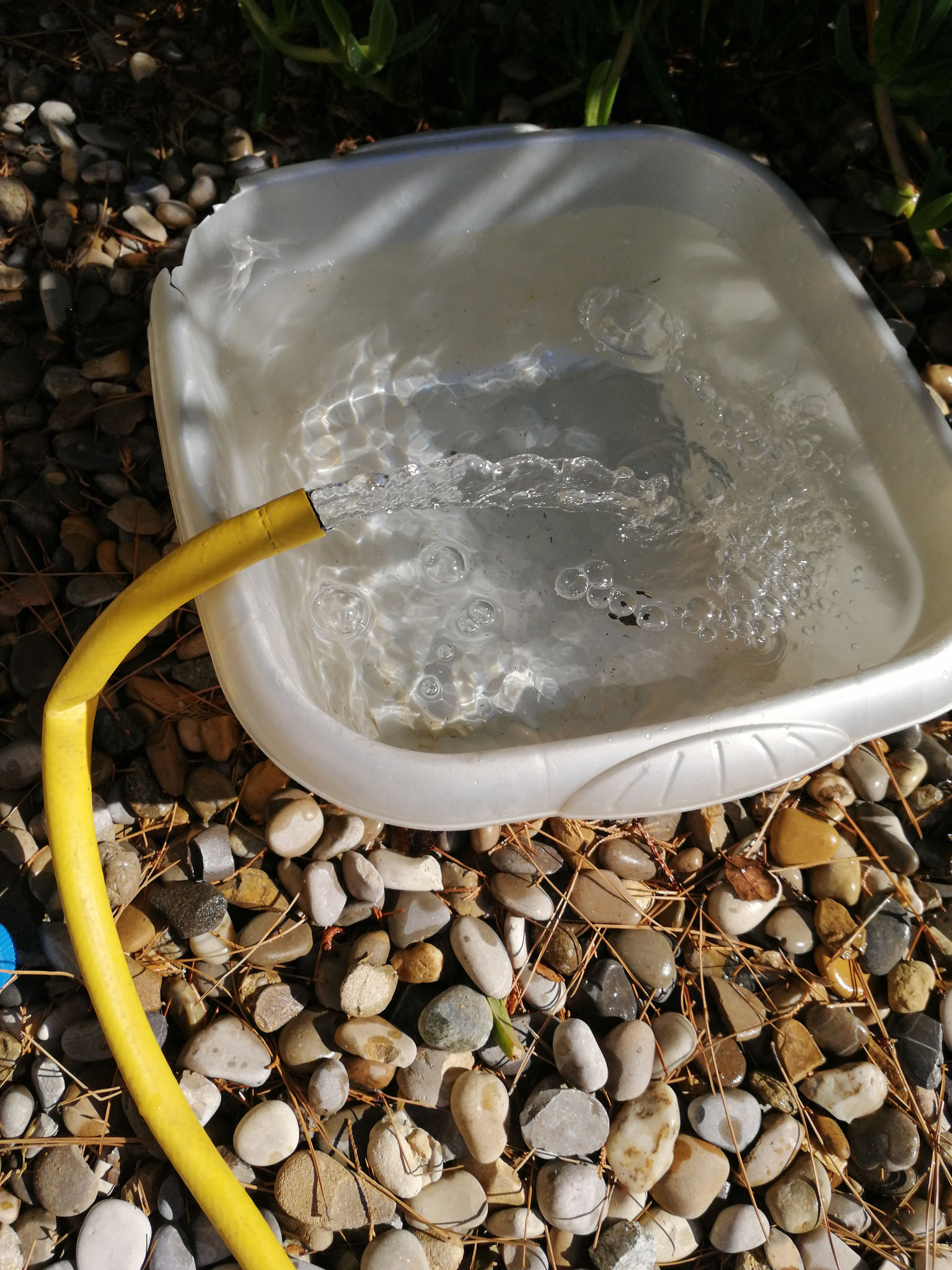 Un tuyau d'arrosage jaune remplit d'eau un bac en plastique blanc posé sur des galets, au sol.